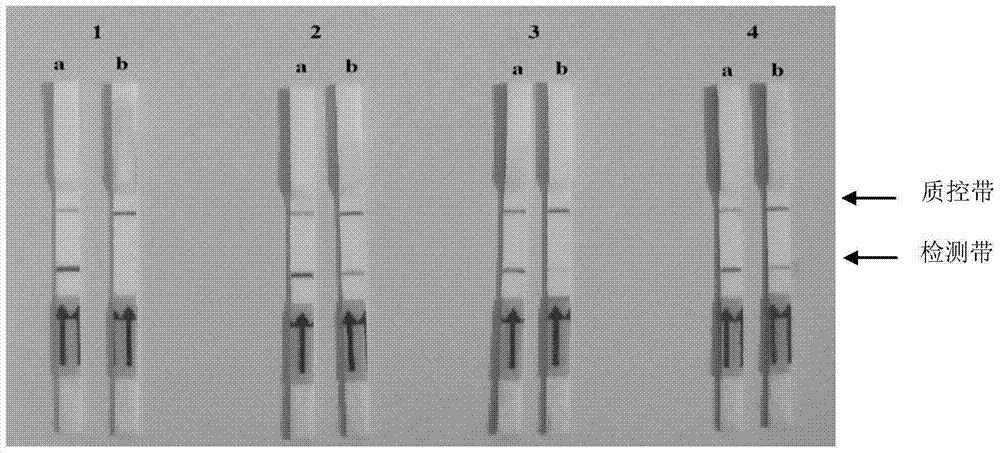 Primers, probes and kits for detection of foot-and-mouth disease virus aerosol by rpa-lateral flow chromatography