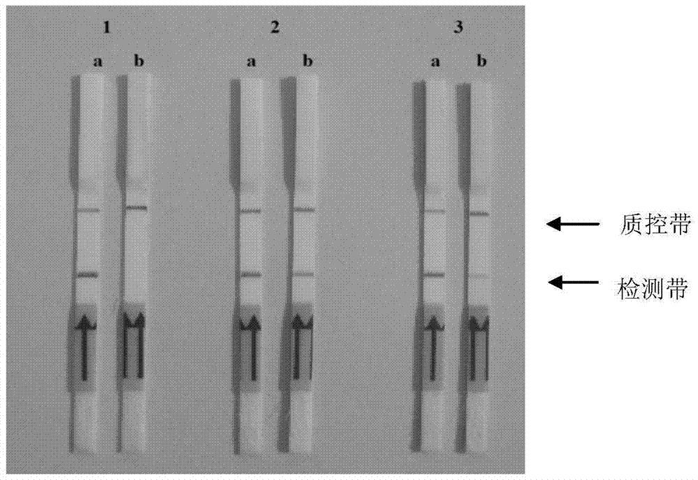 Primers, probes and kits for detection of foot-and-mouth disease virus aerosol by rpa-lateral flow chromatography