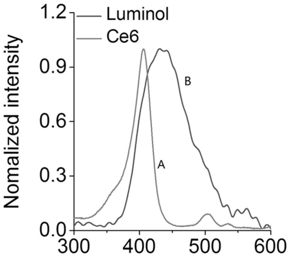 A self-luminescent polymer material responsive to active oxygen and myeloperoxidase in situ, its preparation method and its application