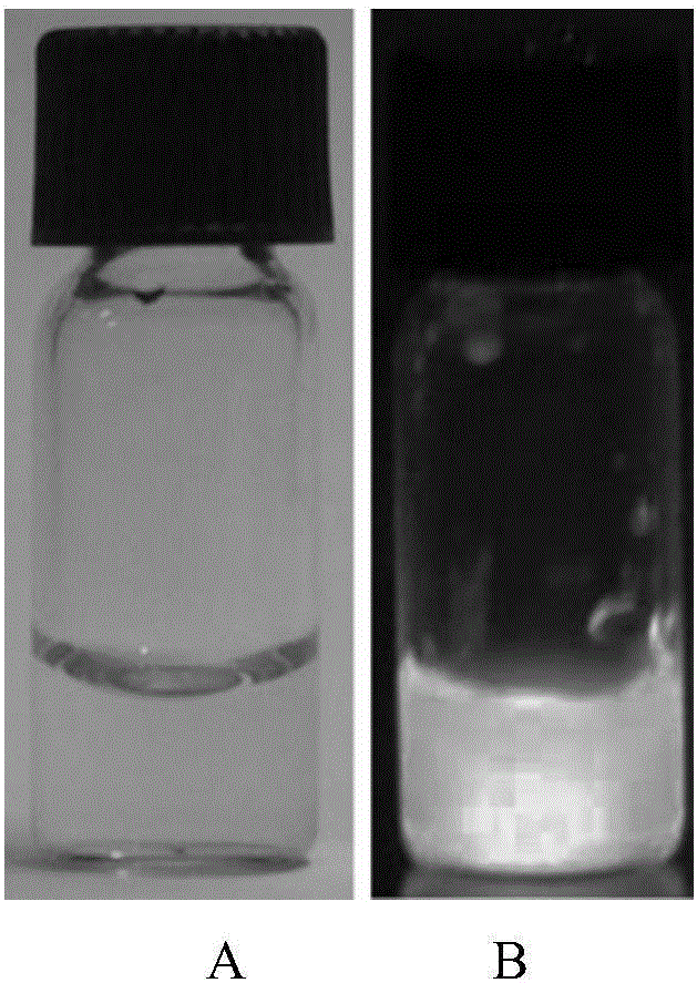 Graphene quantum dot and ionic liquid compound and application thereof to Cr(VI) detection