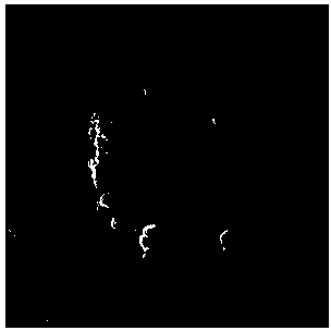 Method for preparing hollow high voltage nickel manganese acid lithium anode material