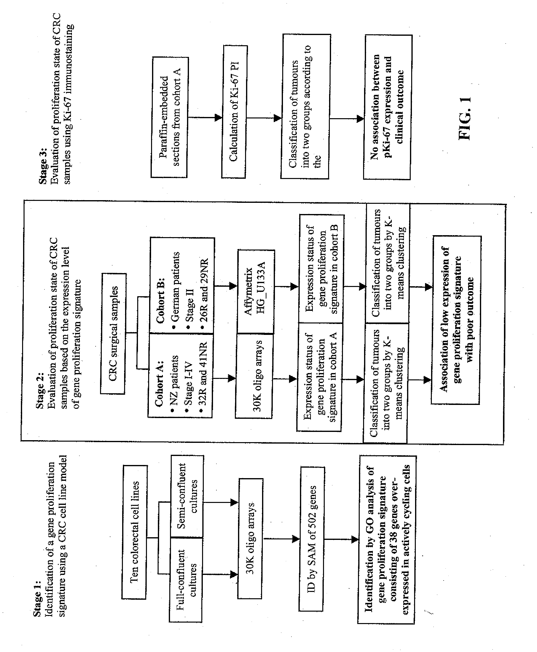 Proliferation Signatures and Prognosis for Gastrointestinal Cancer