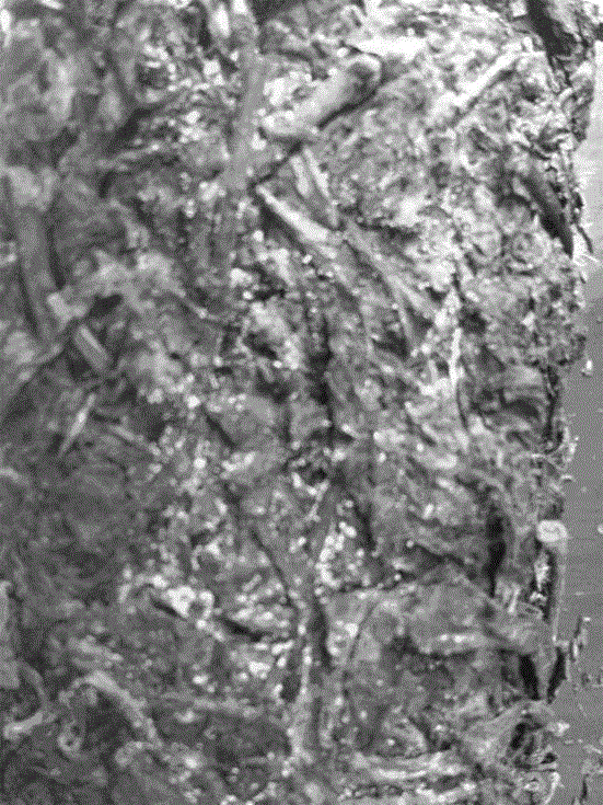 Compound mulberry leaf Fuzhuan brick tea and production method thereof