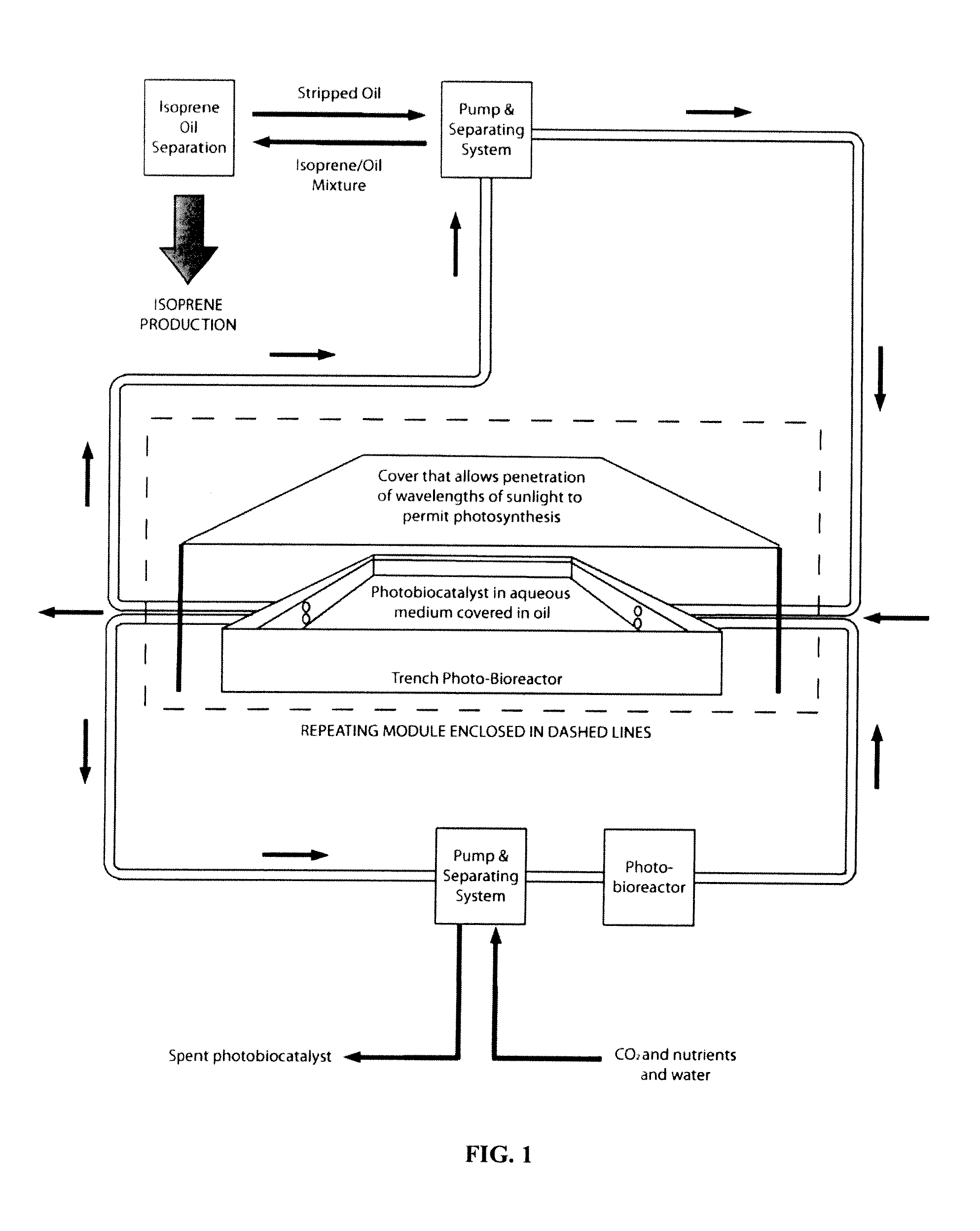 System for photobiosynthetic production, separation and saturation of carbonaceous chemicals and fuels