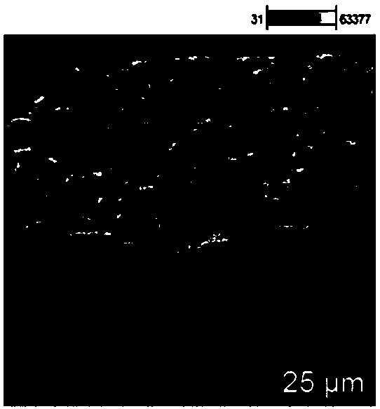 Titanium powder surfactant and using method thereof