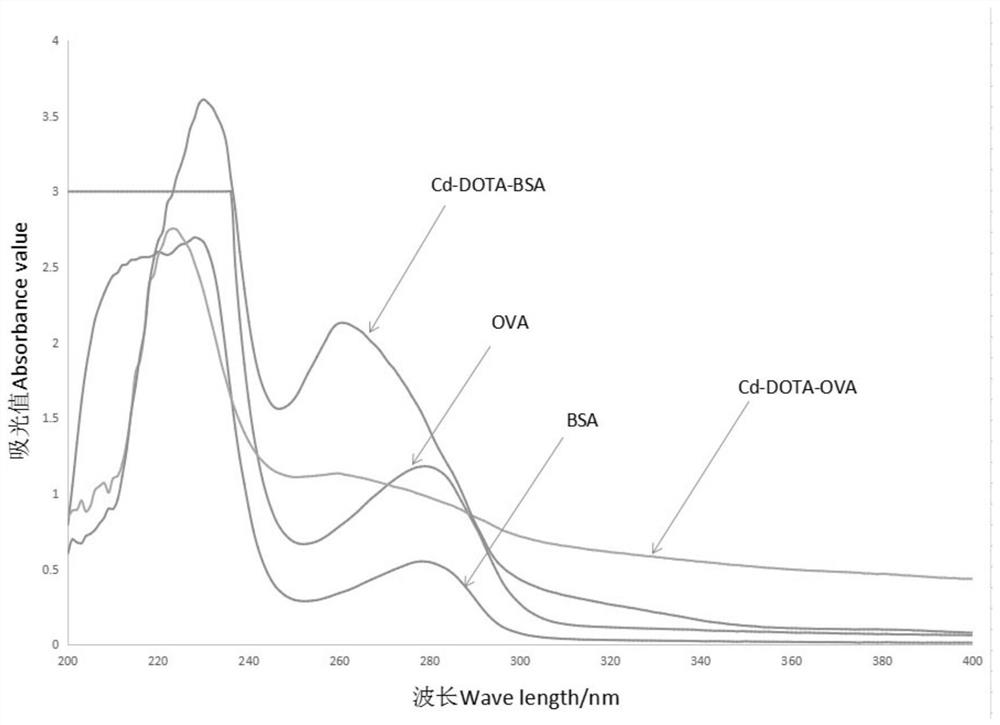 A kind of preparation method of heavy metal cadmium artificial antigen and the application of dota in the preparation of heavy metal cadmium artificial antigen reagent