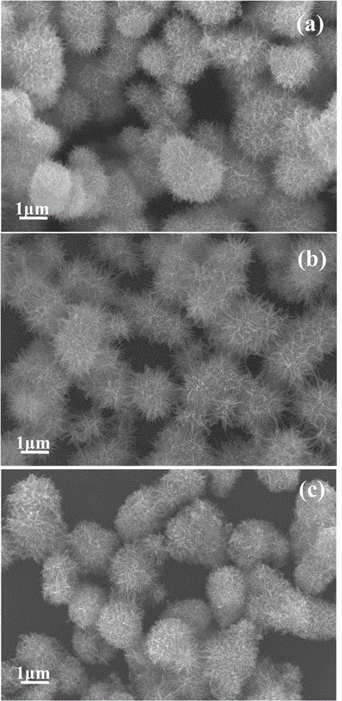 A kind of preparation method of titanate, titanic acid and titanium dioxide