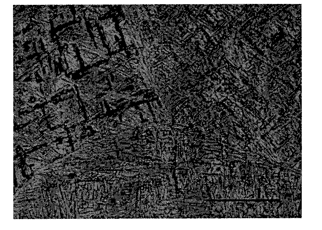 Titanium alloy integral blade disc with composite performance and fabricating method thereof