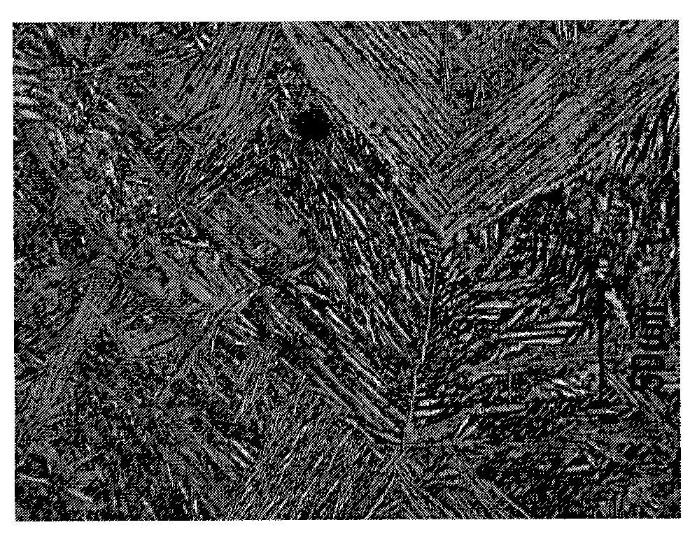 Titanium alloy integral blade disc with composite performance and fabricating method thereof