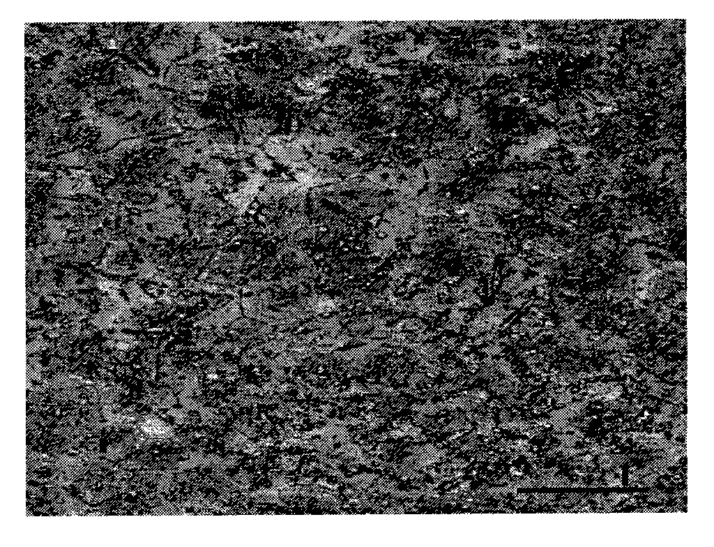 Titanium alloy integral blade disc with composite performance and fabricating method thereof