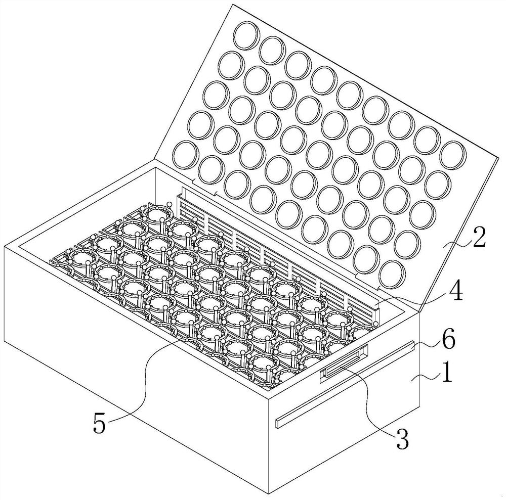 Hygrophilous flower fresh-cut cold chain transportation protection box