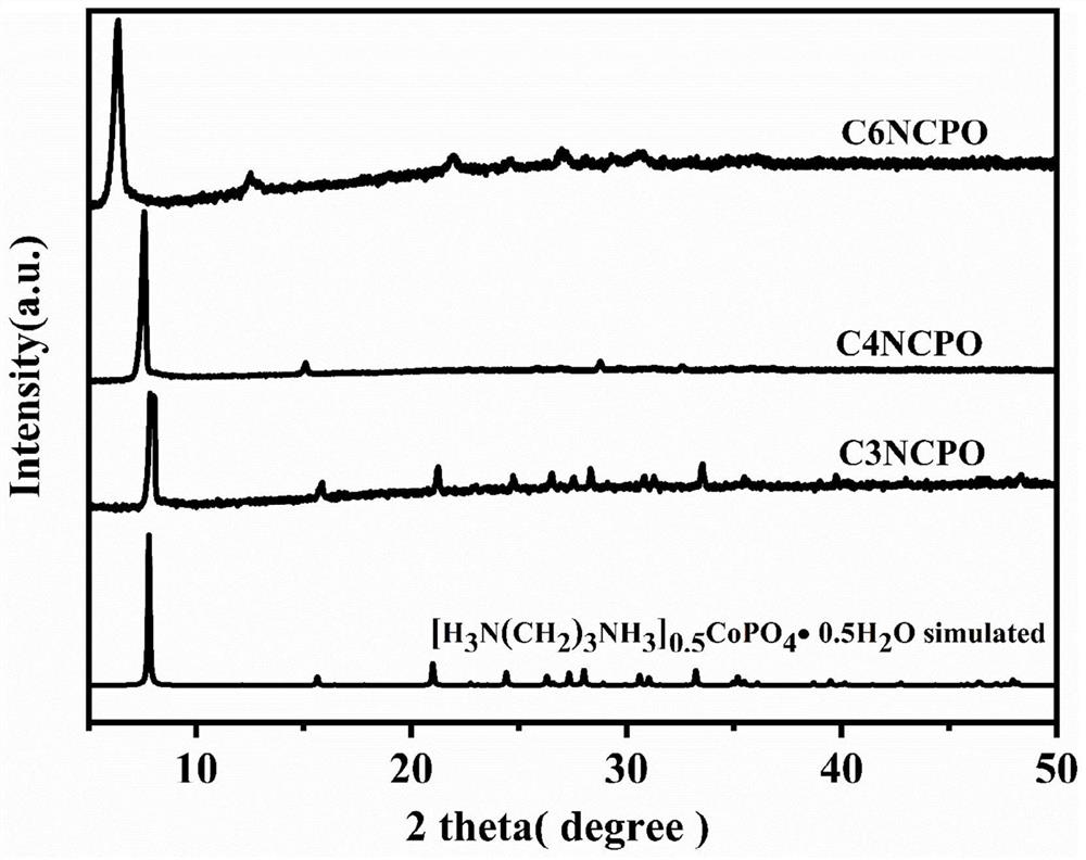 Homogeneous C and N co-doped phosphate material as well as preparation method and application thereof