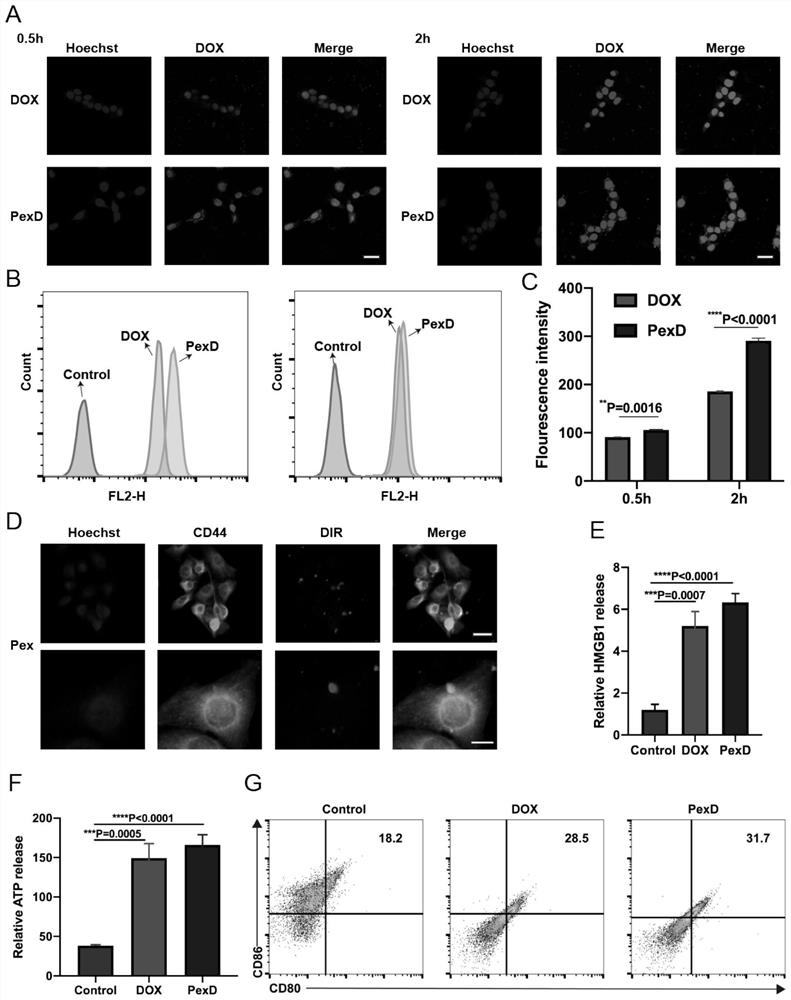 Fibrin gel containing adriamycin-entrapped platelet exosome and PD-L1 monoclonal antibody as well as preparation method and application of fibrin gel