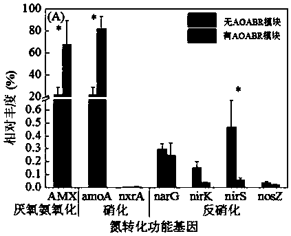 Sewage treatment system and method for strengthening anaerobic ammonia oxidation denitrification and dephosphorization of domestic sewage