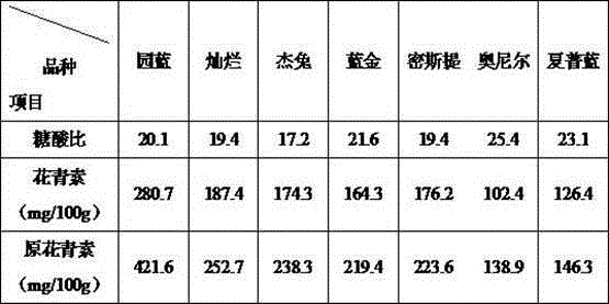 Preparation method of blueberry fruit wine flavor chewable tablets and product thereof