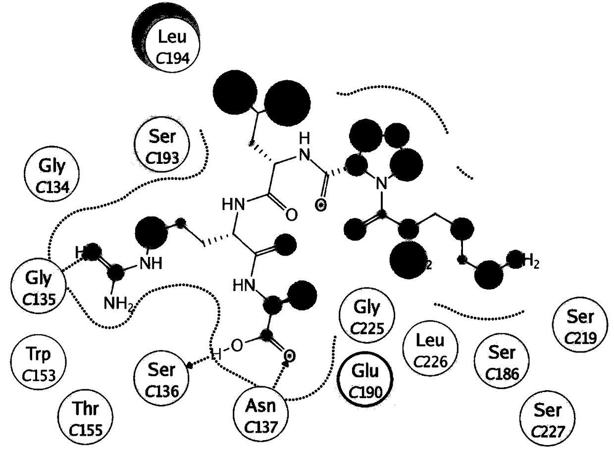 Oligopeptide as well as derivatives and application thereof