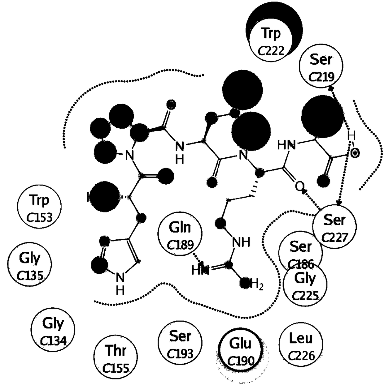 Oligopeptide as well as derivatives and application thereof