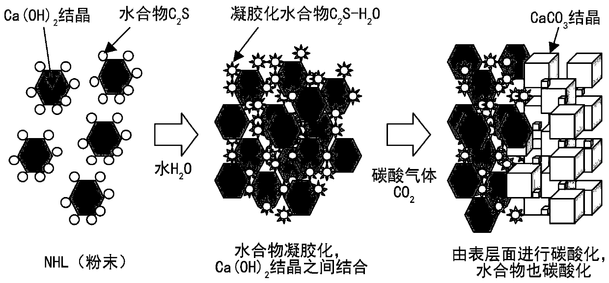 Molded article using hydraulic lime and method for producing same