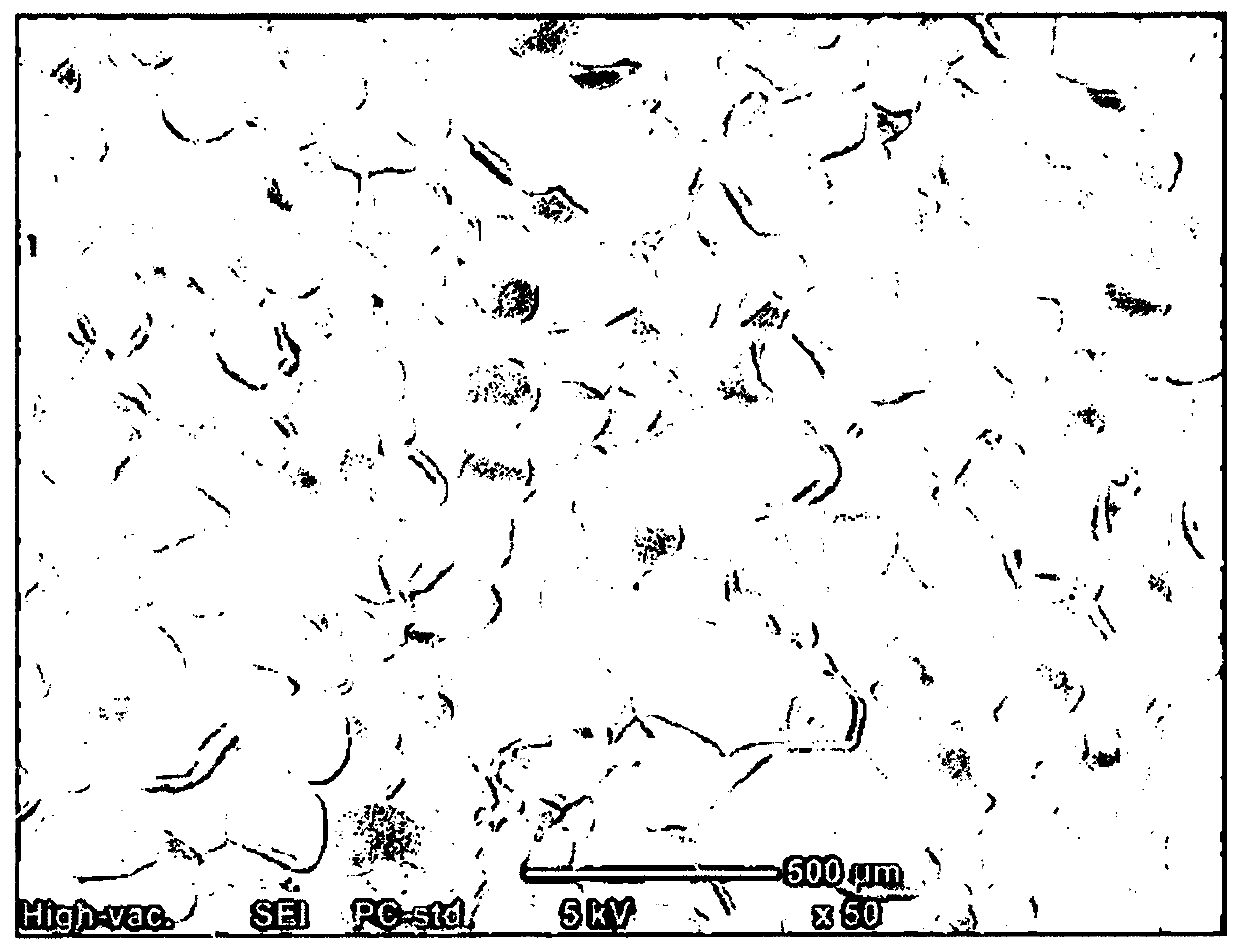 Method for manufacturing super absorbent resin sheet and super absorbent resin sheet manufactured thereby