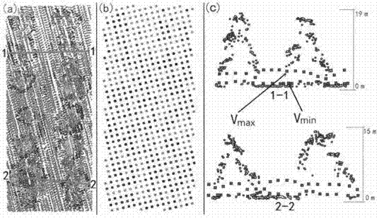 Method for utilizing airborne laser radar point cloud to extract urban vegetation three-dimensional coverage map