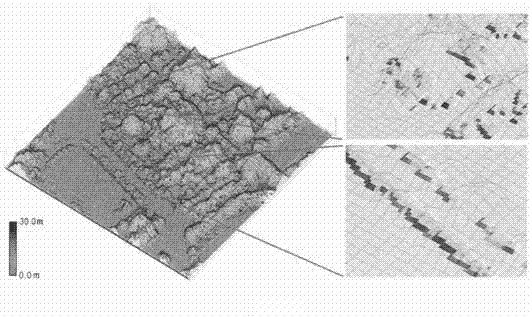 Method for utilizing airborne laser radar point cloud to extract urban vegetation three-dimensional coverage map