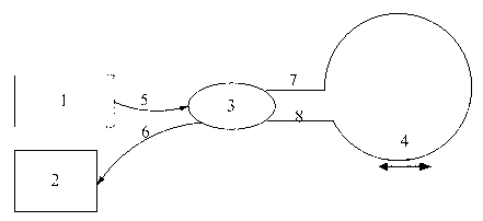 Axial strain measuring system based on double-refraction optical loop mirror