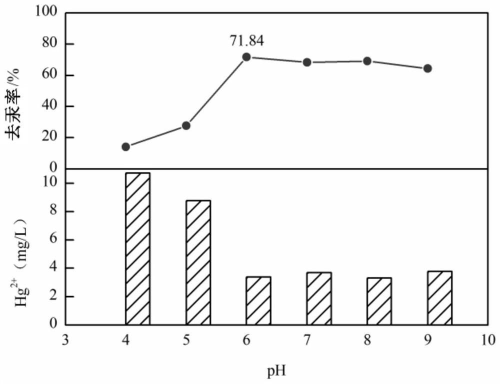 Compound bacterium preparation capable of efficiently adsorbing mercury and application of compound bacterium preparation