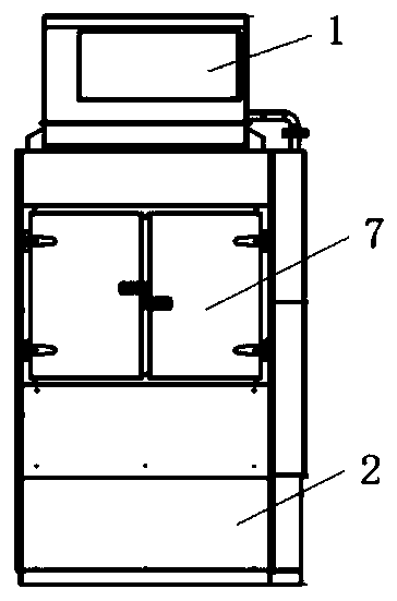 Steam type areca seed continuous fixation system