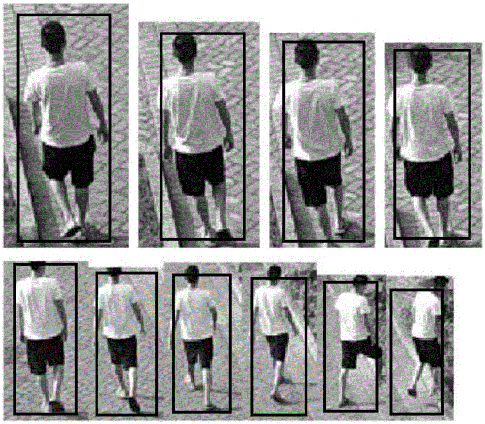 Trace template self-adaption method based on variance estimation