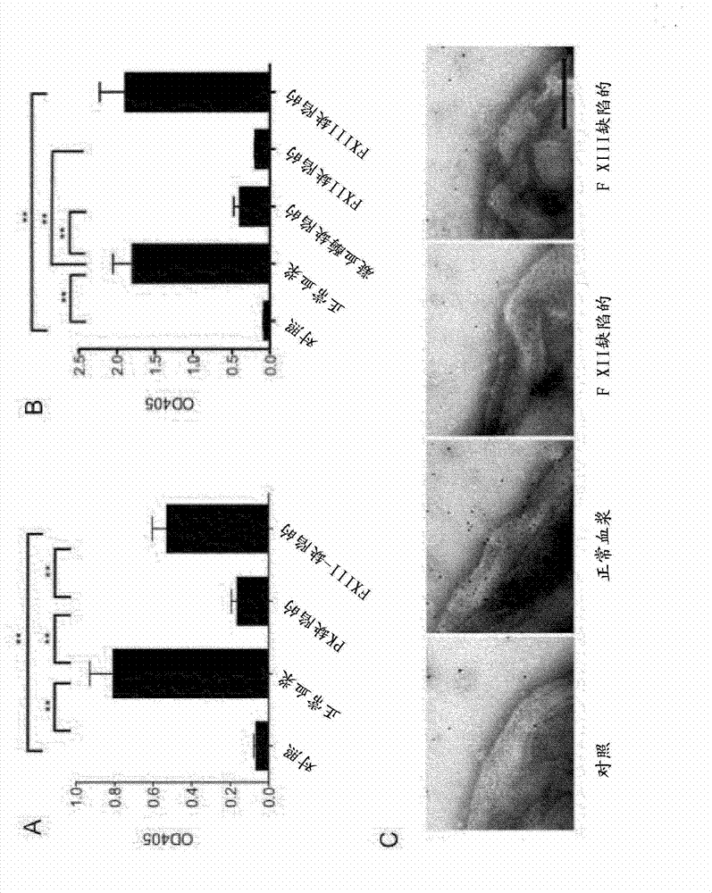 An ancestral serine protease coagulation cascade exerts a novel function in early immune defense