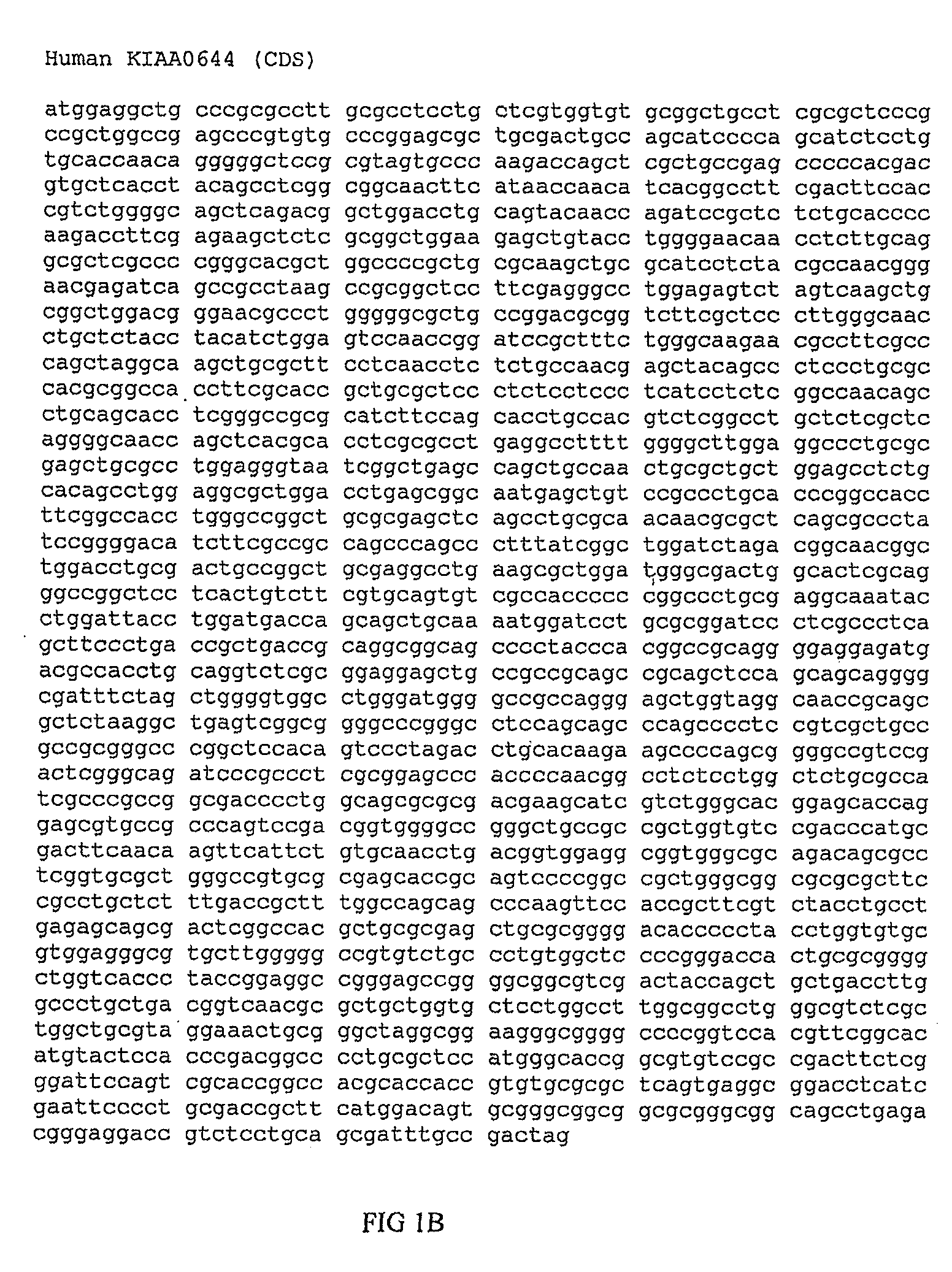 Polypeptides and use thereof