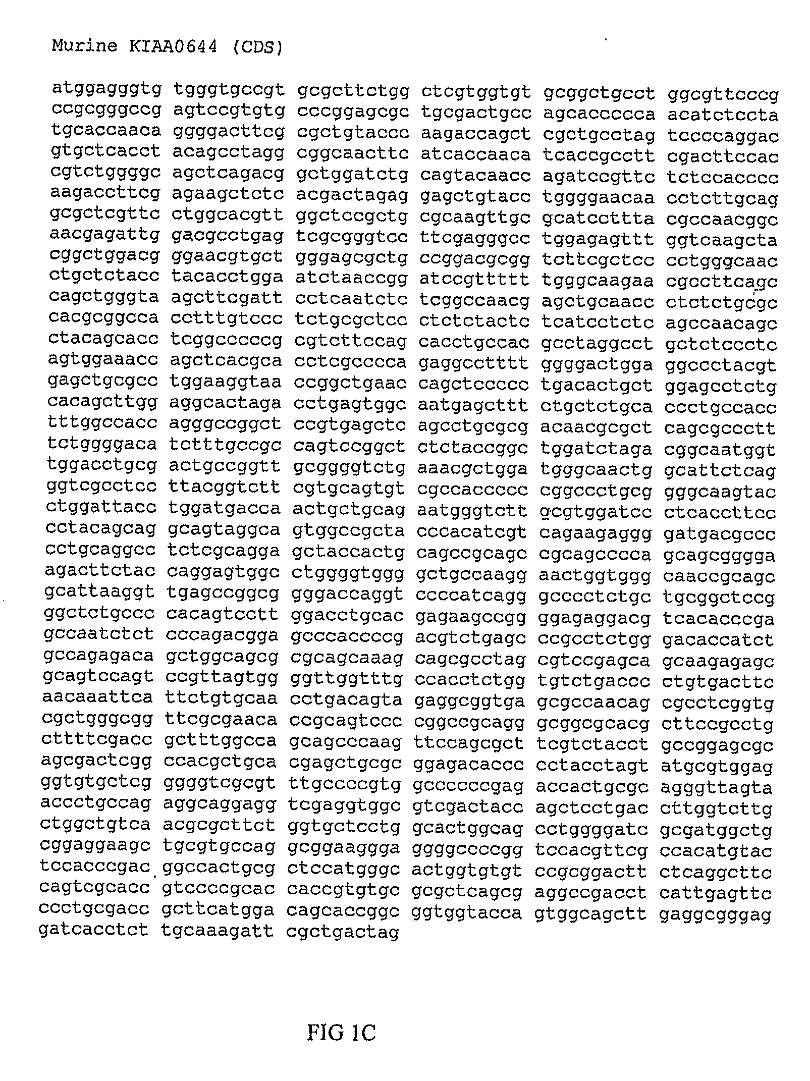 Polypeptides and use thereof