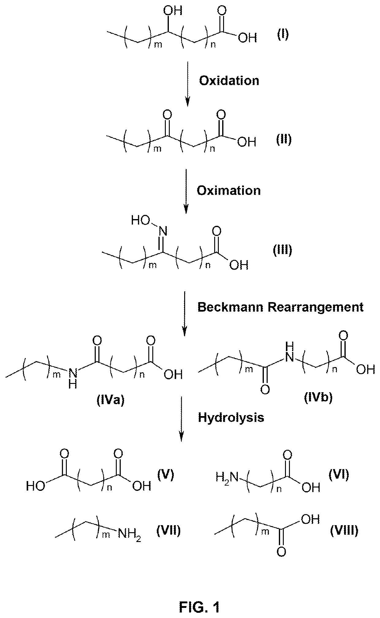 Process for producing long chain amino acids and dibasic acids