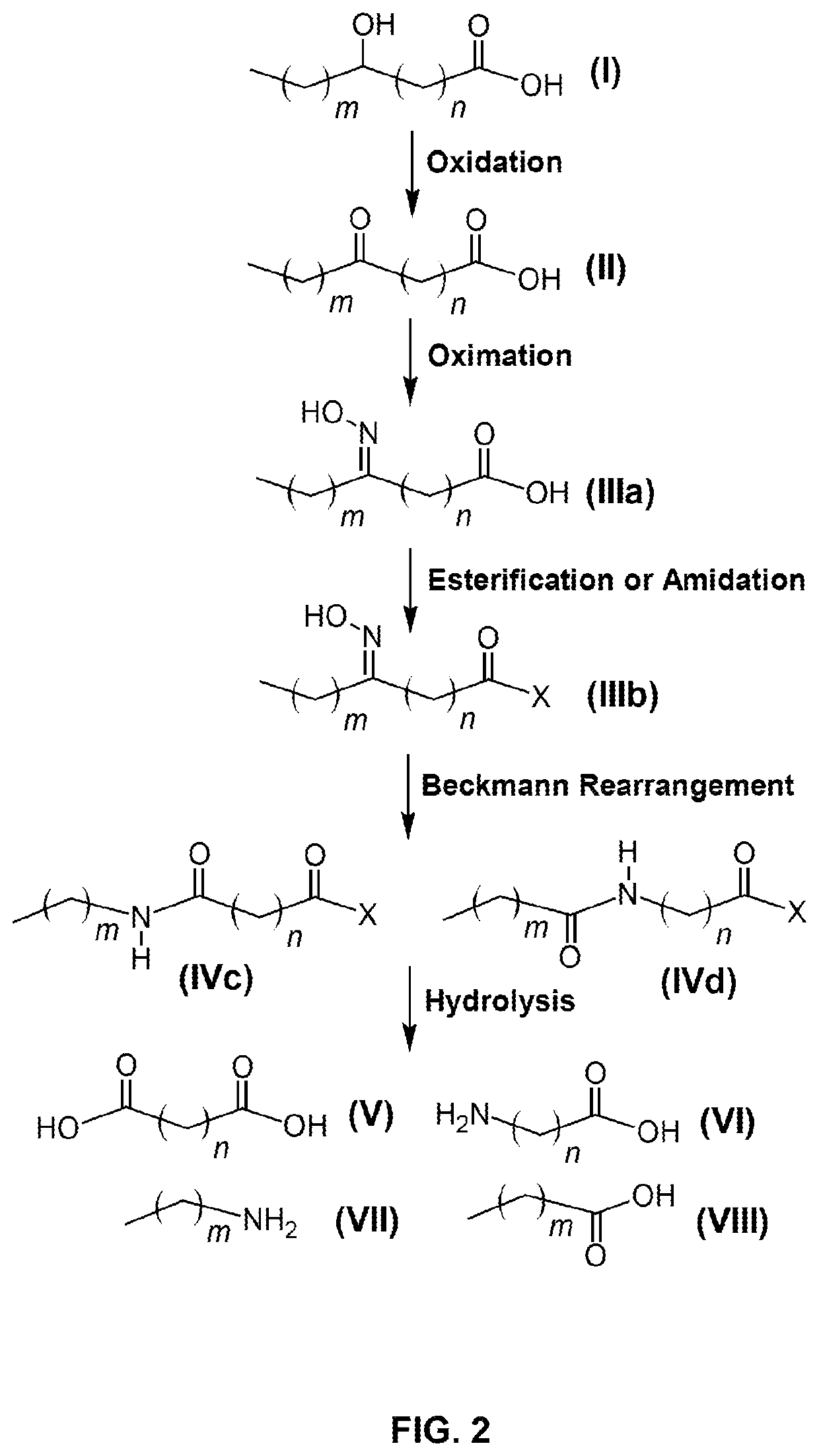 Process for producing long chain amino acids and dibasic acids