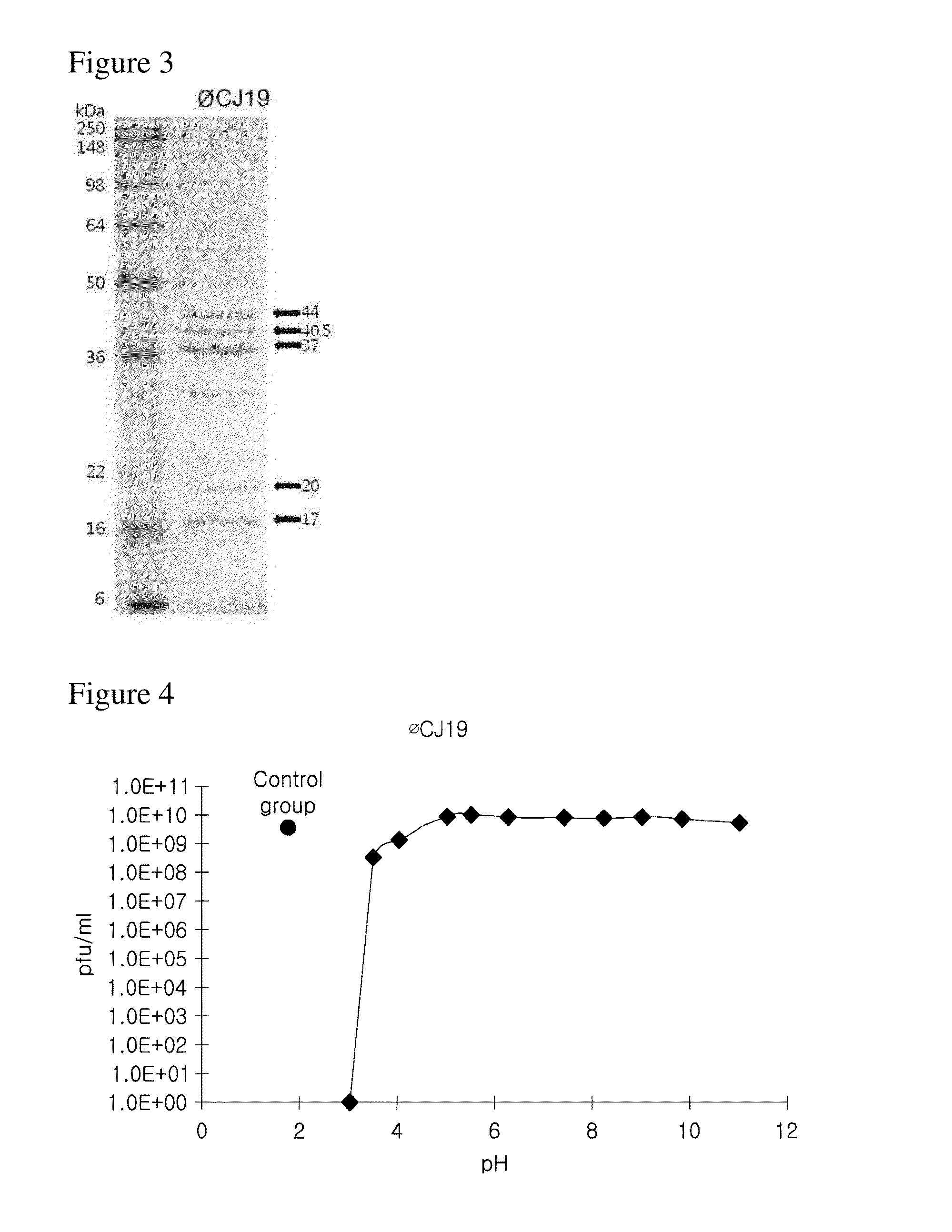 Novel bacteriophage and antibacterial composition comprising the same