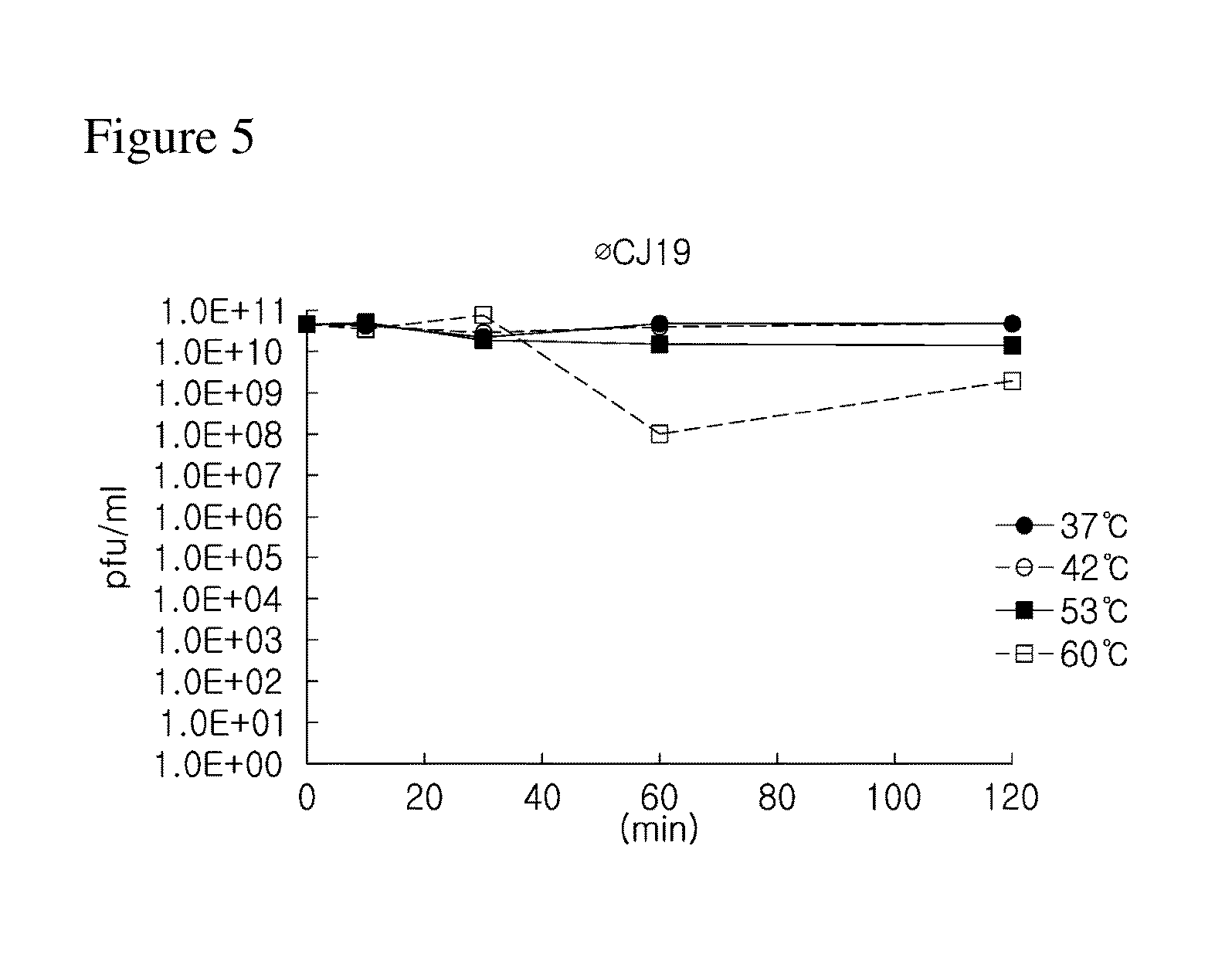 Novel bacteriophage and antibacterial composition comprising the same
