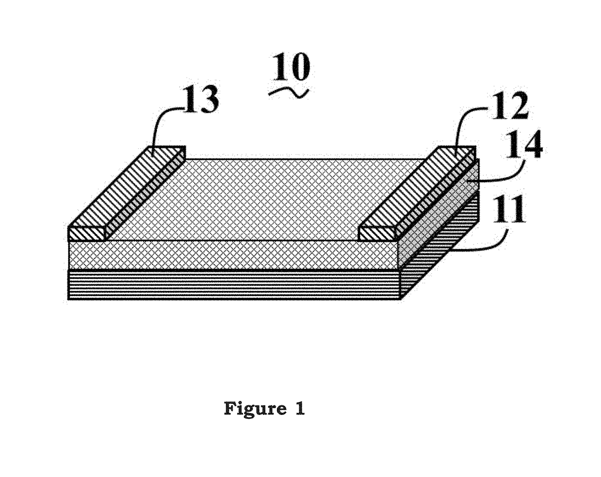 Carbon nanotube forest strain sensor and the forming method thereof