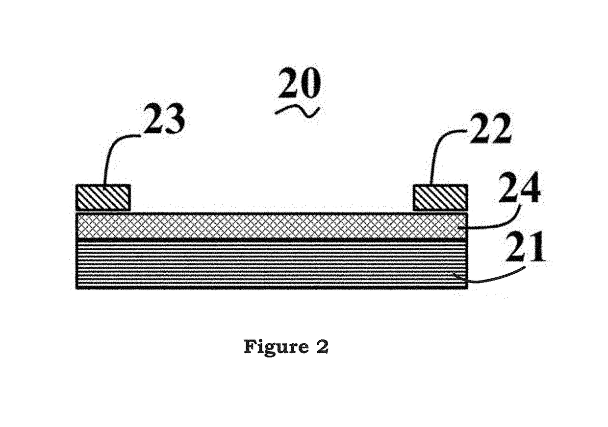 Carbon nanotube forest strain sensor and the forming method thereof