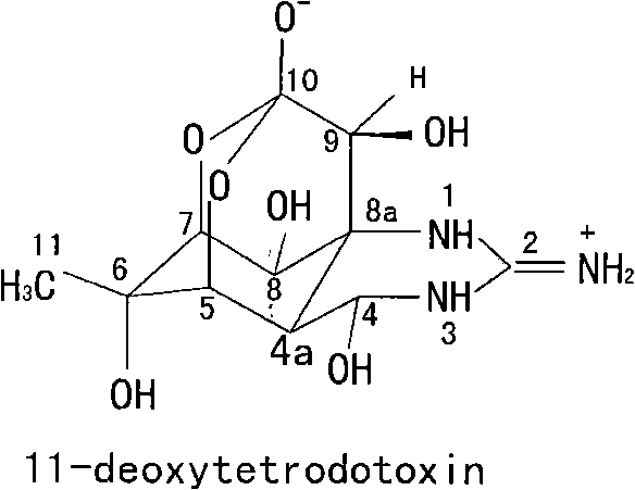 Deoxytetrodotoxin extraction method