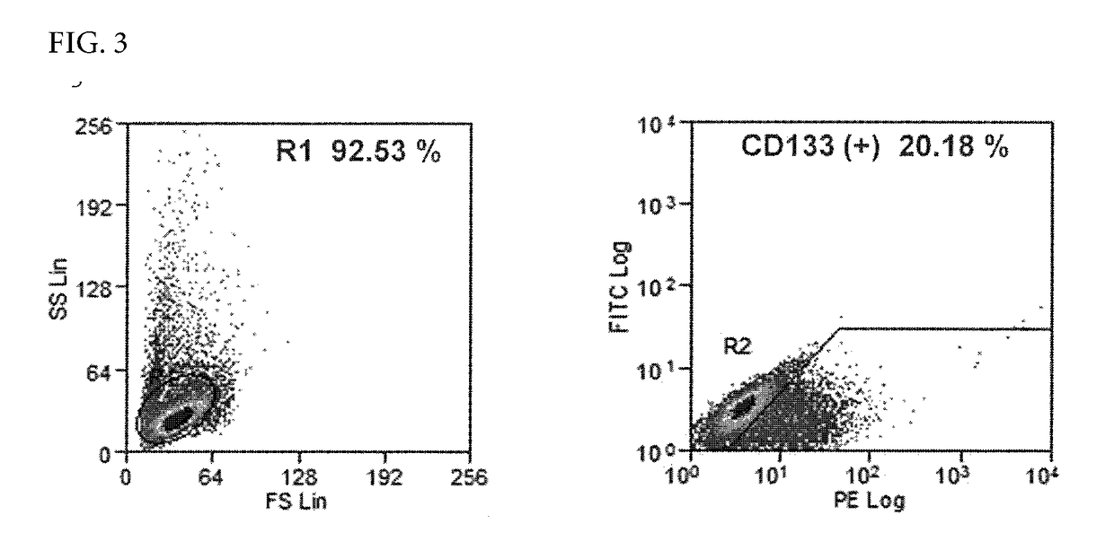 Viral vector targeting cancer stem cells