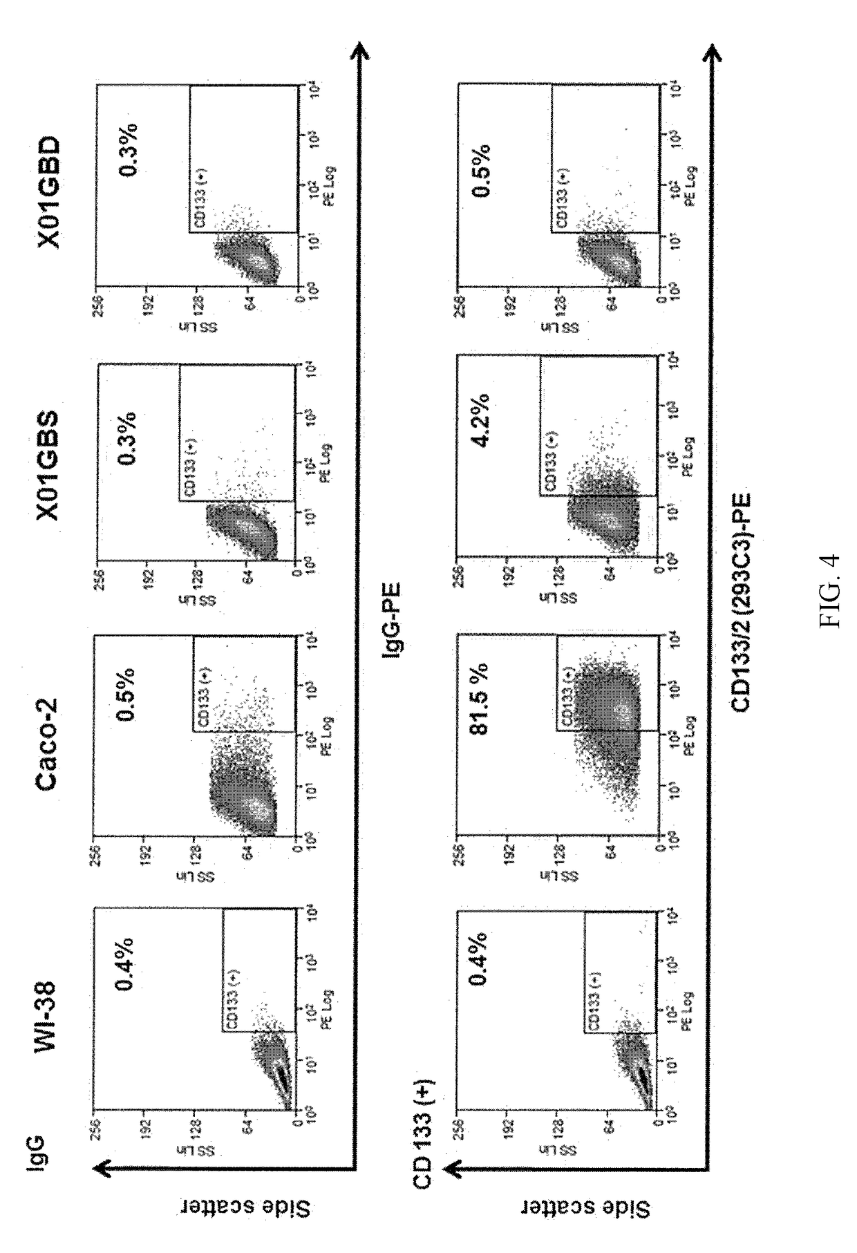 Viral vector targeting cancer stem cells