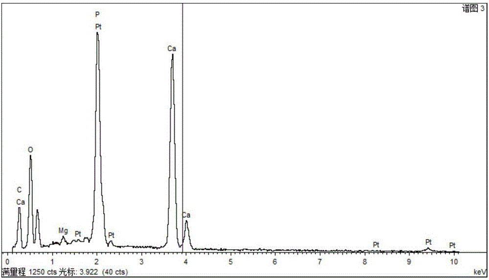 Preparing method for magnesium-containing hydroxyapatite coating on surface of carbon/carbon composite