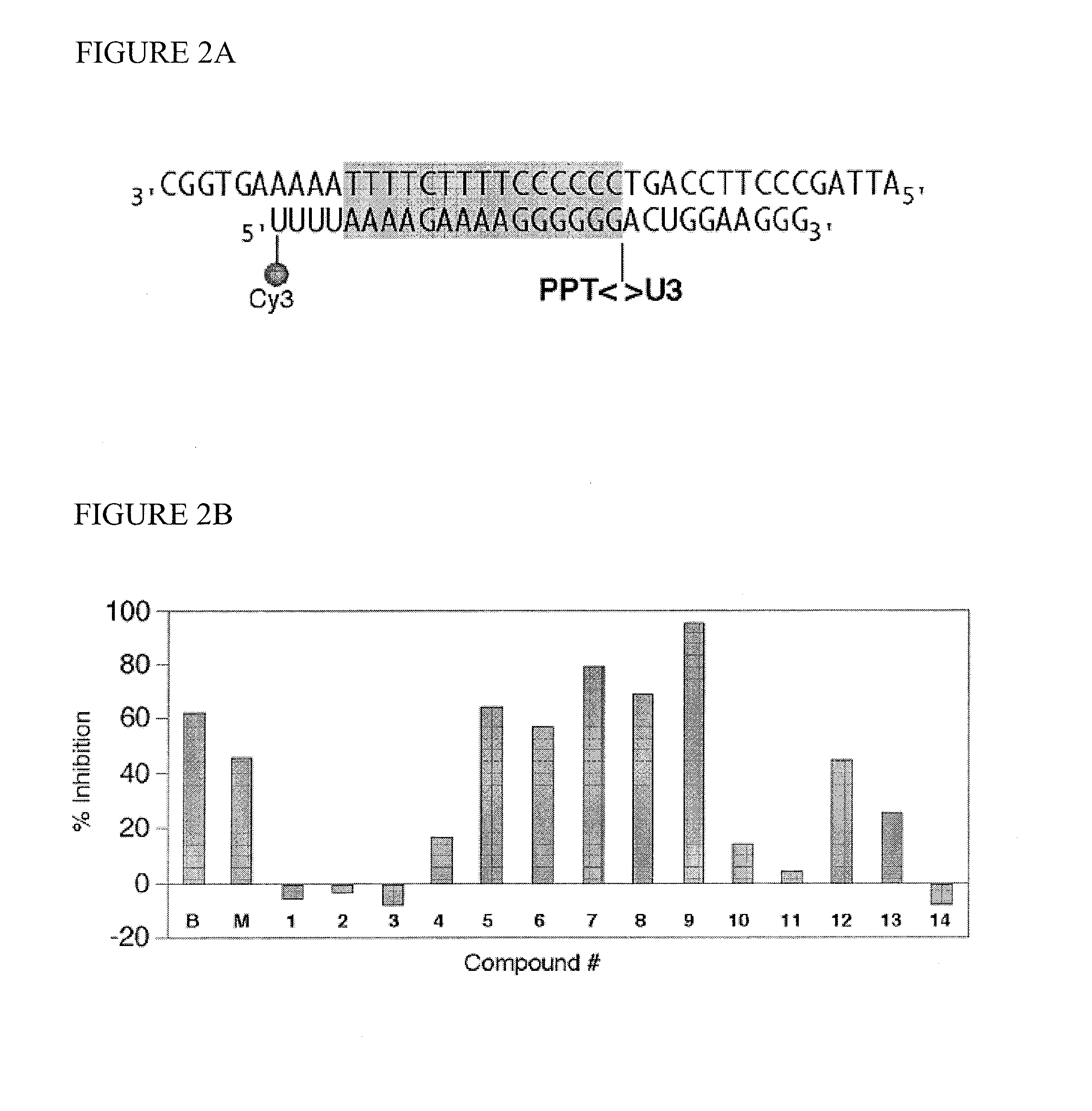 Tropolone compounds for treating or preventing retroviral infection