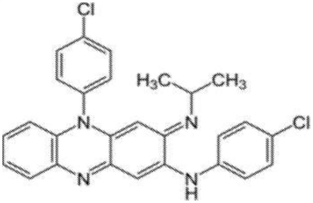 Compositions of clofazimine, combinations comprising them, processes for their preparation, uses and methods comprising them