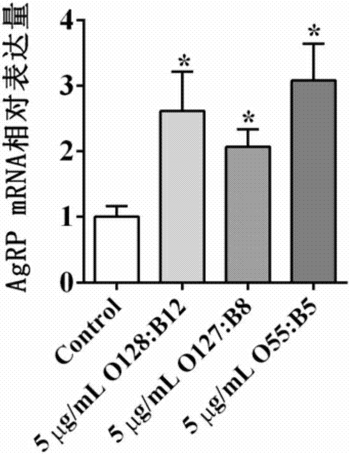 Application of lipopolysaccharide in respect of preparing additive for promoting animal feeding and improving composition of bodies