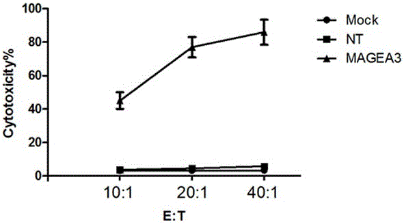 Novel viral vaccine for treating non-small cell lung cancer and preparation method thereof