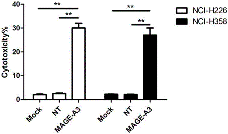 Novel viral vaccine for treating non-small cell lung cancer and preparation method thereof