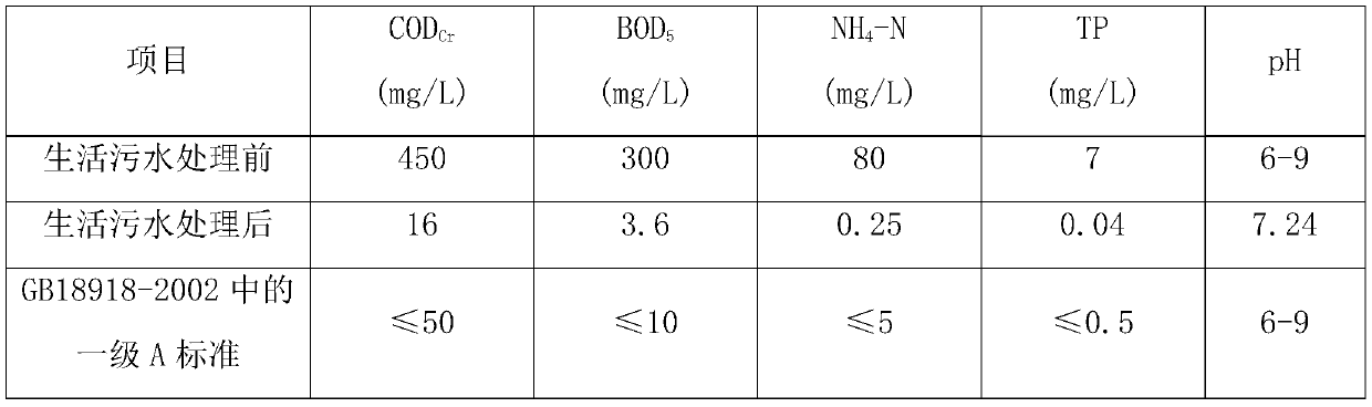 Distributed biochemical system used for processing domestic sewage, and domestic sewage processing method