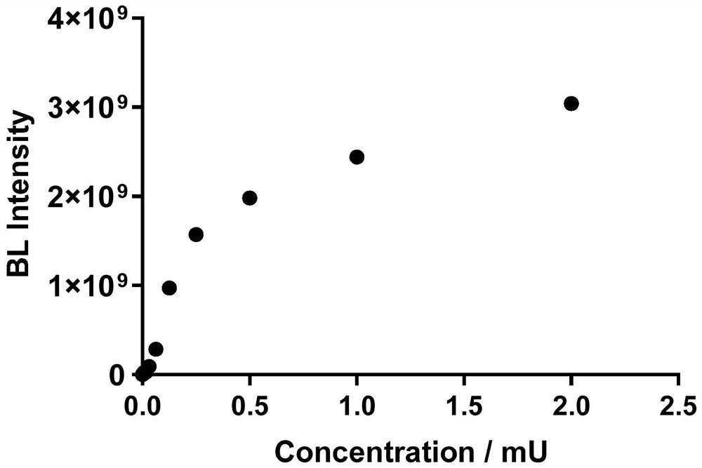 A preparation method and application of a bioluminescent probe for detecting pyroglutamate aminopeptidase