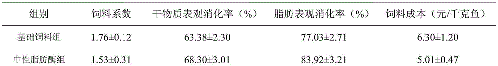 Feed additive suitable for stomachless fish and containing high-temperature-resistant neutral lipase and application of feed additive